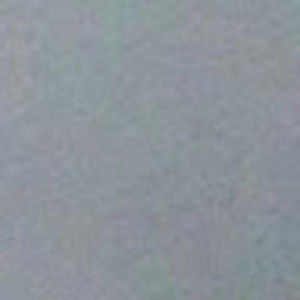 Meet your Posher, Jani